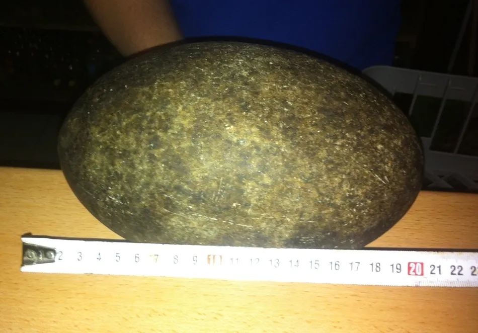 Foto 5 - Encuentran un posible meteorito en un pinar de Robleda  