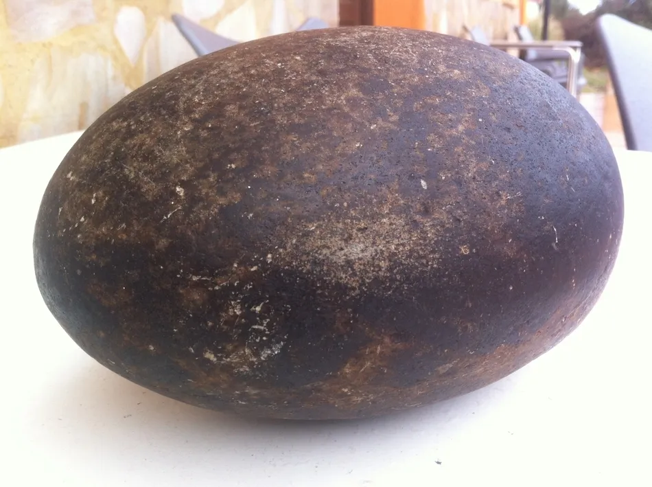Foto 4 - Encuentran un posible meteorito en un pinar de Robleda  