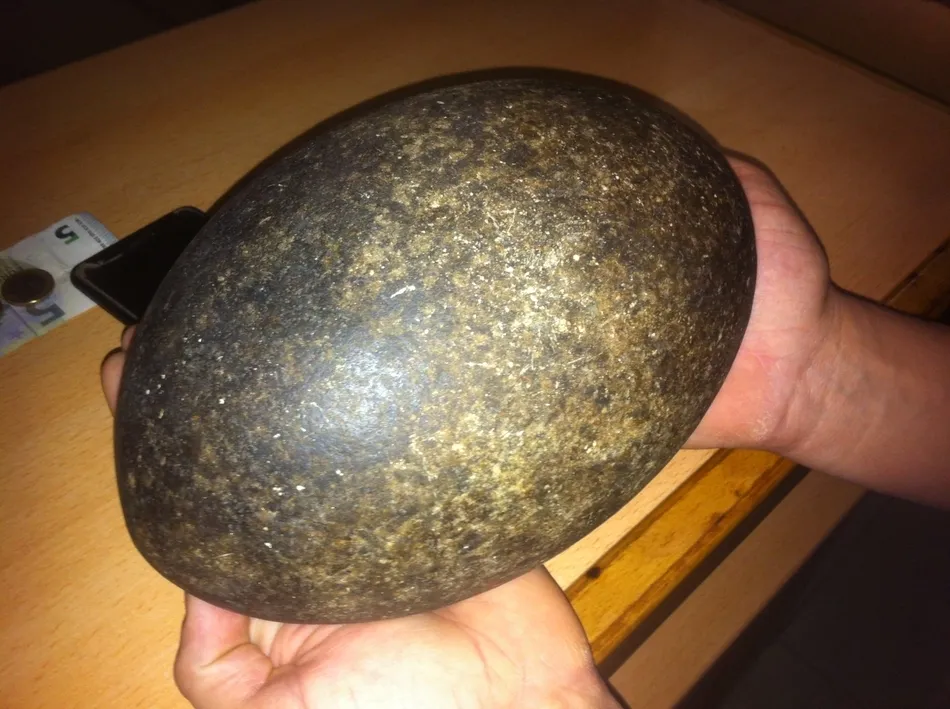Foto 6 - Encuentran un posible meteorito en un pinar de Robleda  