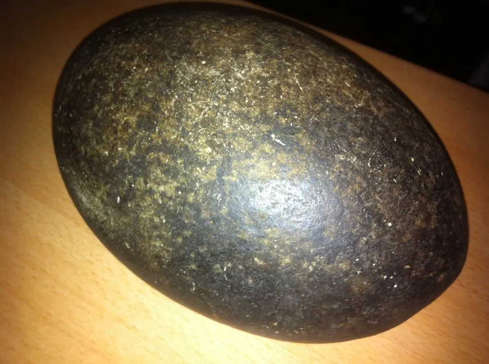 Foto 3 - Encuentran un posible meteorito en un pinar de Robleda  