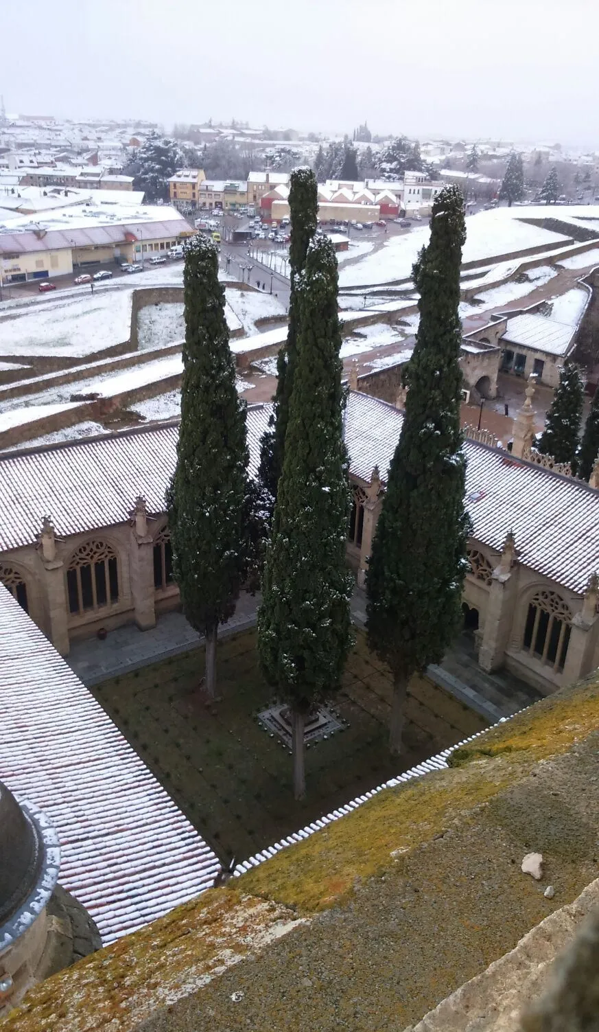 Foto 3 - La nueva nevada, desde lo alto de la Catedral  