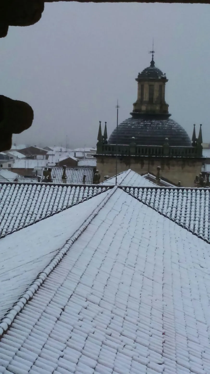 Foto 4 - La nueva nevada, desde lo alto de la Catedral  