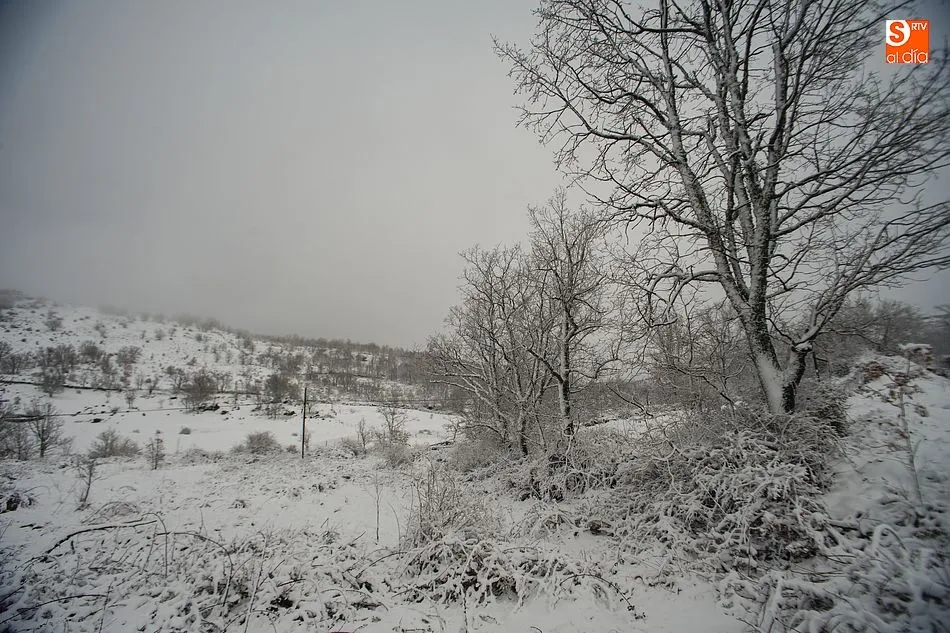 Foto 7 - La nieve sorprende en el Lunes de Aguas