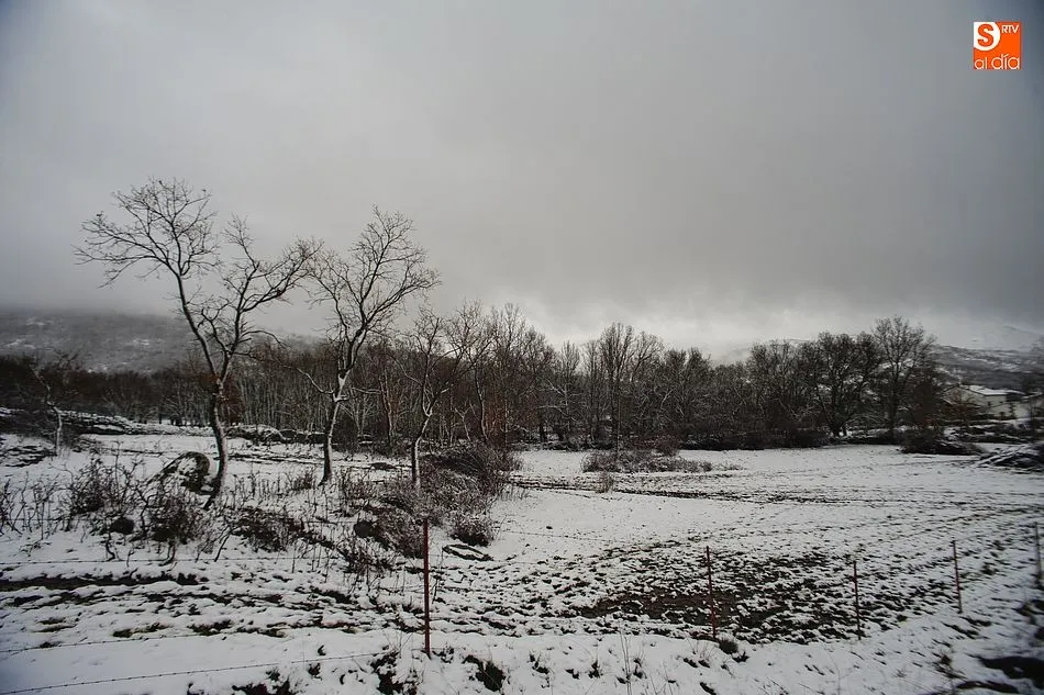 Foto 6 - La nieve sorprende en el Lunes de Aguas