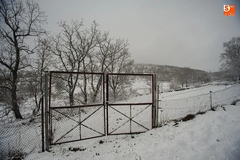 Foto 3 - La nieve sorprende en el Lunes de Aguas