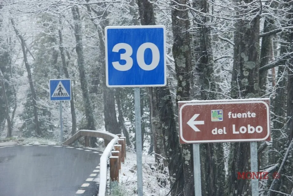 Foto 6 - Preciosos paisajes nevados y normalidad en las carreteras  