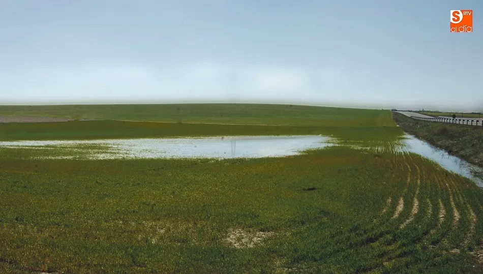 Las parcelas están llenas de agua e impide a los agricultores realizar las faenas de la época / ADRIÁN MARTÍN