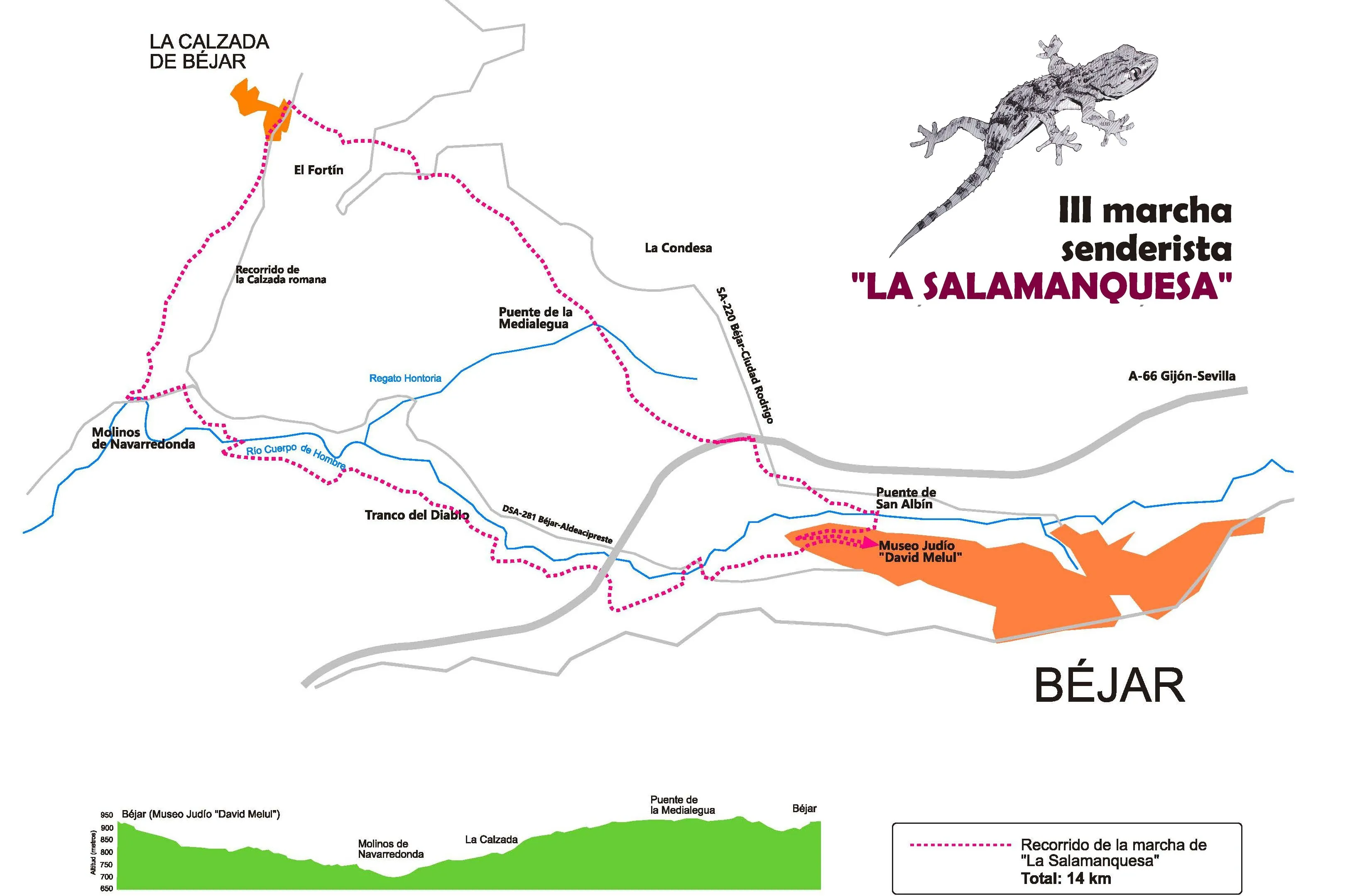Foto 2 - &lsquo;La Salamanquesa&rsquo; incluye la V&iacute;a Verde y la muralla en su itinerario  