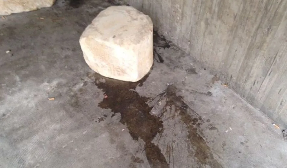 Foto 6 - Defensores del Patrimonio denuncian el &ldquo;abandono y de degradaci&oacute;n&rdquo; de la Cueva de Salamanca&nbsp;
