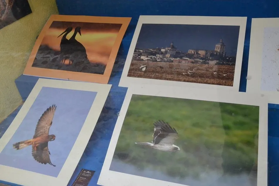 Foto 6 - Abierta una exposici&oacute;n fotogr&aacute;fica sobre la naturaleza en la comarca mirobrigense  