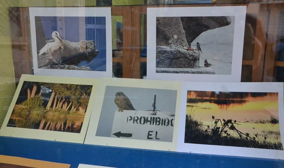 Foto 5 - Abierta una exposici&oacute;n fotogr&aacute;fica sobre la naturaleza en la comarca mirobrigense  