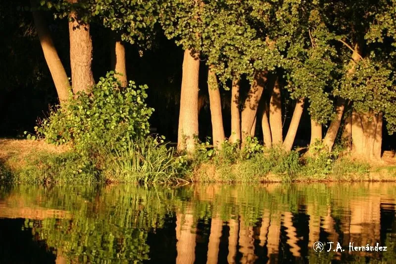 Foto 4 - Abierta una exposici&oacute;n fotogr&aacute;fica sobre la naturaleza en la comarca mirobrigense  