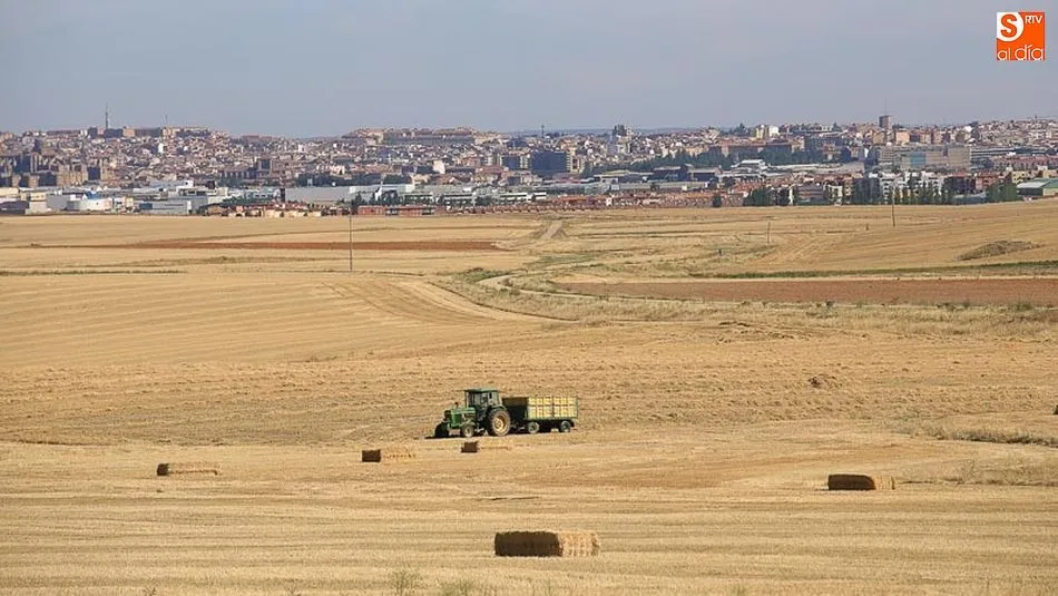 En cuanto al capital por km2, los autores explican que las dotaciones son escasas dada la enorme extensión de la región y su baja densidad de población y actividad