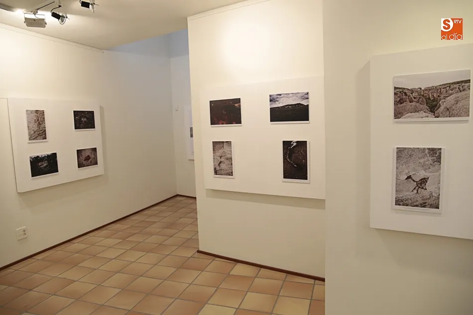 Foto 11 - &lsquo;Fe2O3&rsquo;, una investigaci&oacute;n sobre pinturas arqueol&oacute;gicas se hace arte