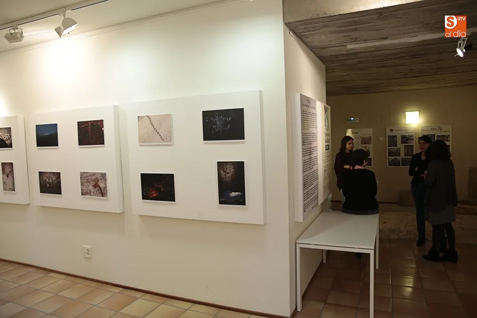 Foto 10 - &lsquo;Fe2O3&rsquo;, una investigaci&oacute;n sobre pinturas arqueol&oacute;gicas se hace arte