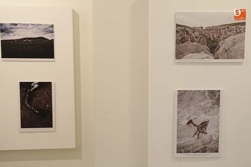 Foto 5 - &lsquo;Fe2O3&rsquo;, una investigaci&oacute;n sobre pinturas arqueol&oacute;gicas se hace arte