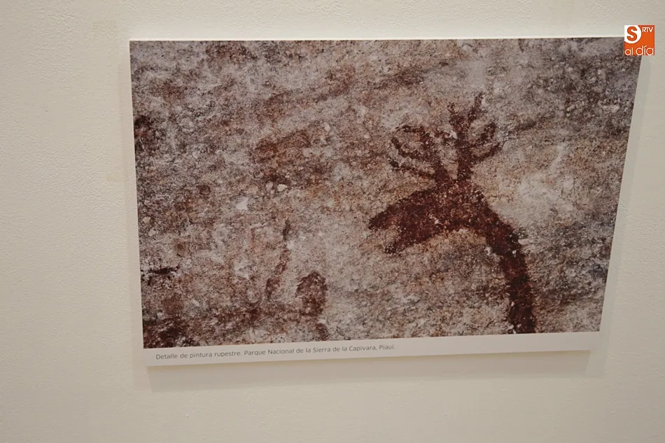 Foto 3 - &lsquo;Fe2O3&rsquo;, una investigaci&oacute;n sobre pinturas arqueol&oacute;gicas se hace arte