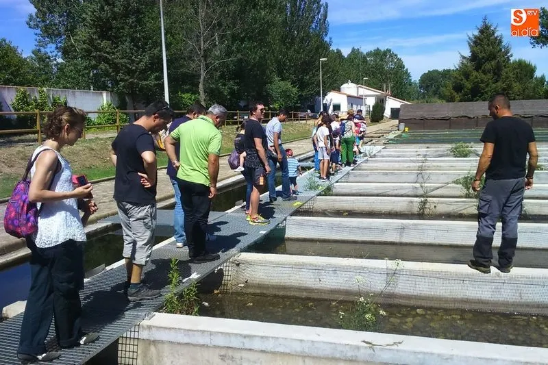 Visita de un grupo a la piscifactoría | Foto José Ignacio Hernández
