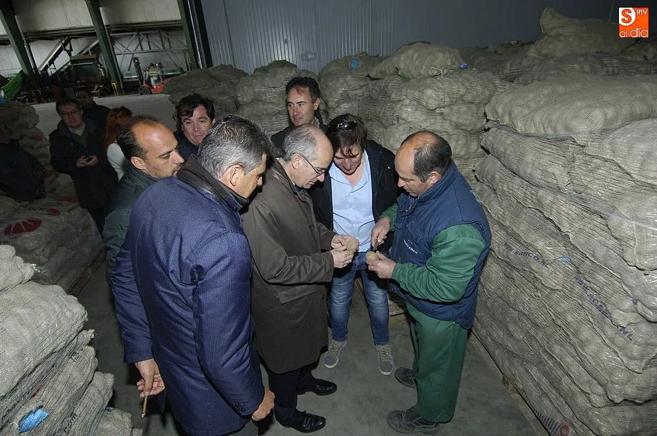 Foto 8 - M&aacute;s de 388.000 euros mejoran la comunicaci&oacute;n entre El Pedroso de la Armu&ntilde;a y Arabayona de M&oacute;gica