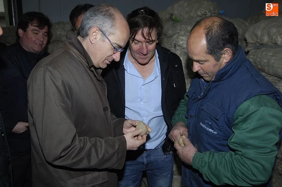 Foto 7 - M&aacute;s de 388.000 euros mejoran la comunicaci&oacute;n entre El Pedroso de la Armu&ntilde;a y Arabayona de M&oacute;gica