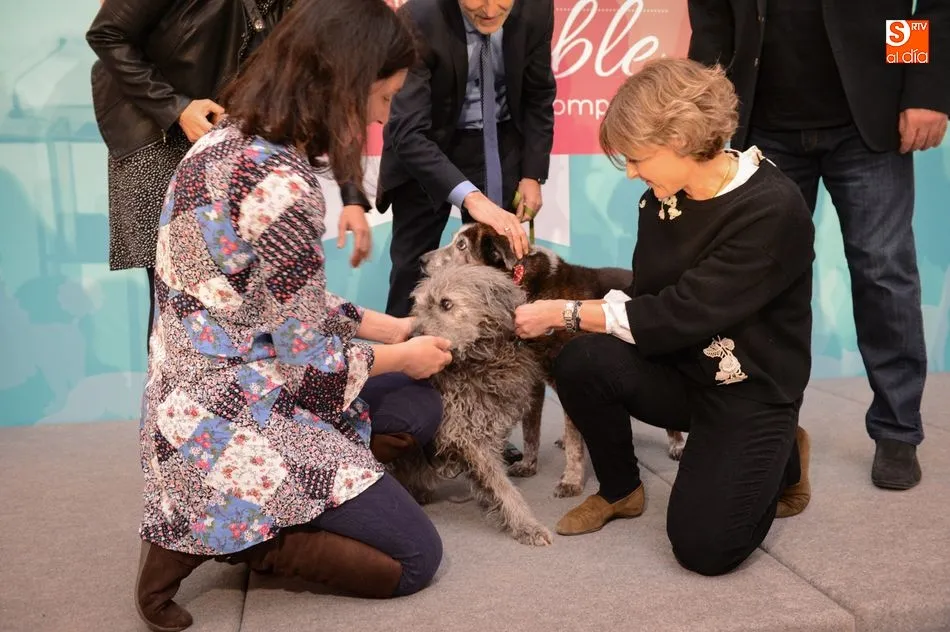 La ministra Isabel García Tejerina presenta el plan sobre tenencia responsable de mascotas