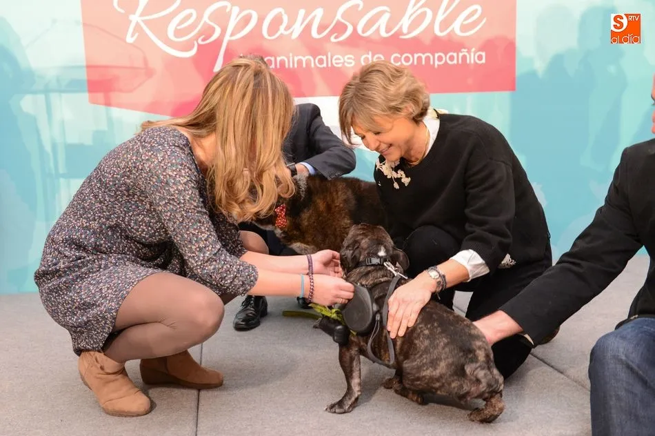 Foto 6 - En marcha un plan para la tenencia responsable de animales de compa&ntilde;&iacute;a