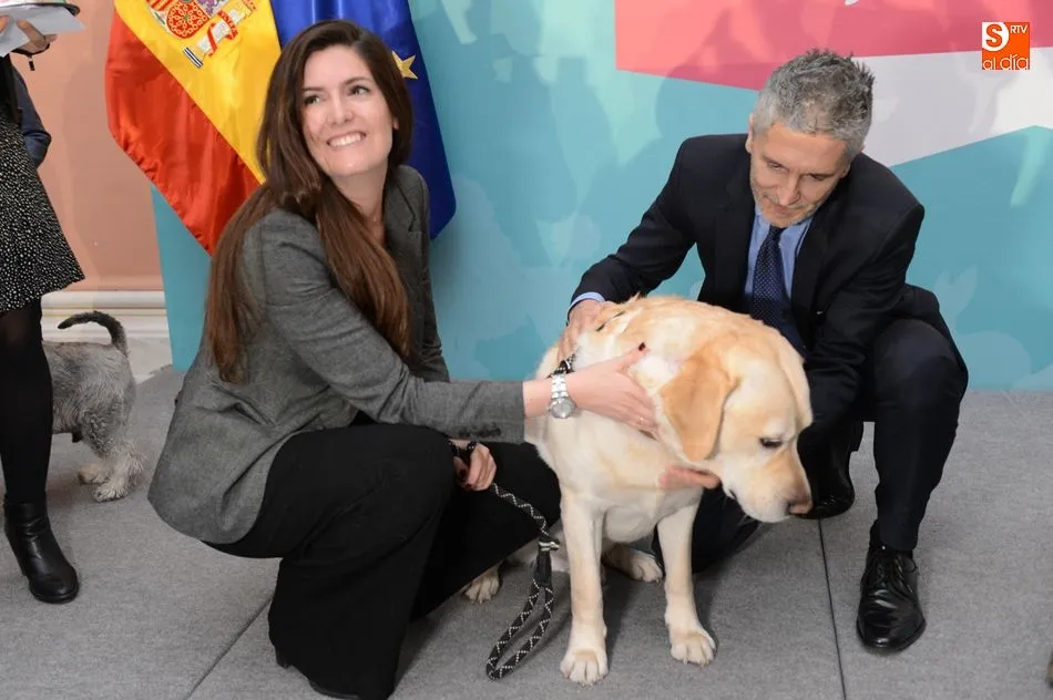 Foto 5 - En marcha un plan para la tenencia responsable de animales de compa&ntilde;&iacute;a