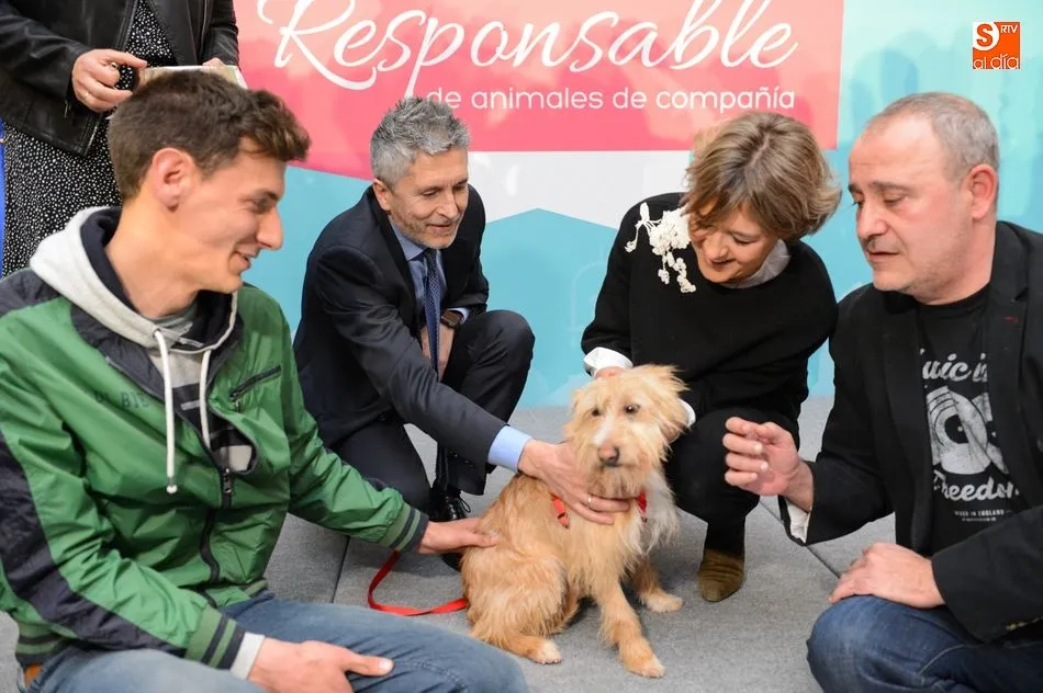 Foto 3 - En marcha un plan para la tenencia responsable de animales de compa&ntilde;&iacute;a