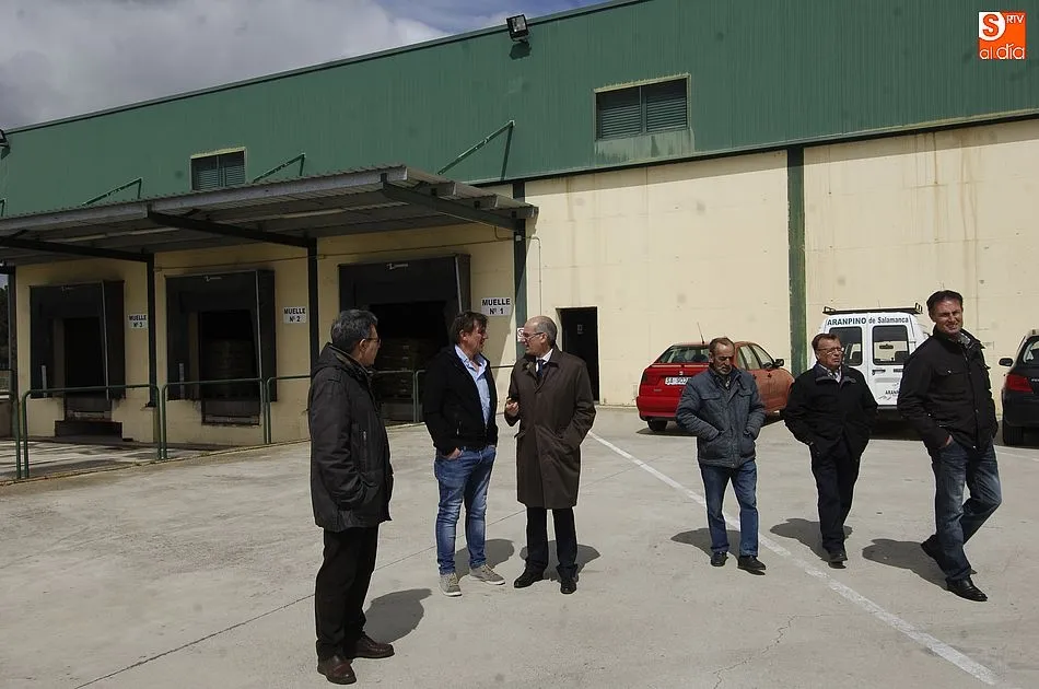 Foto 8 - Javier Iglesias se interesa por la producci&oacute;n de la patata de la provincia de Salamanca  