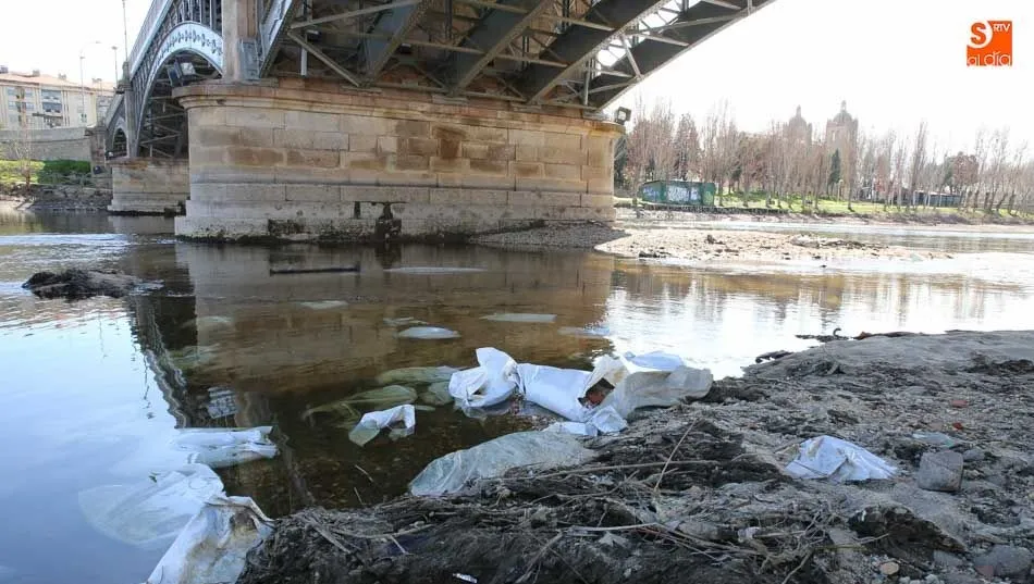 El Tormes, sin pesquera y sucio a su paso por Salamanca. Foto: Alberto Martín