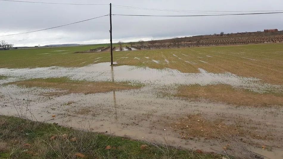 Estado en el que se encuentran muchas parcelas de la Comunidad