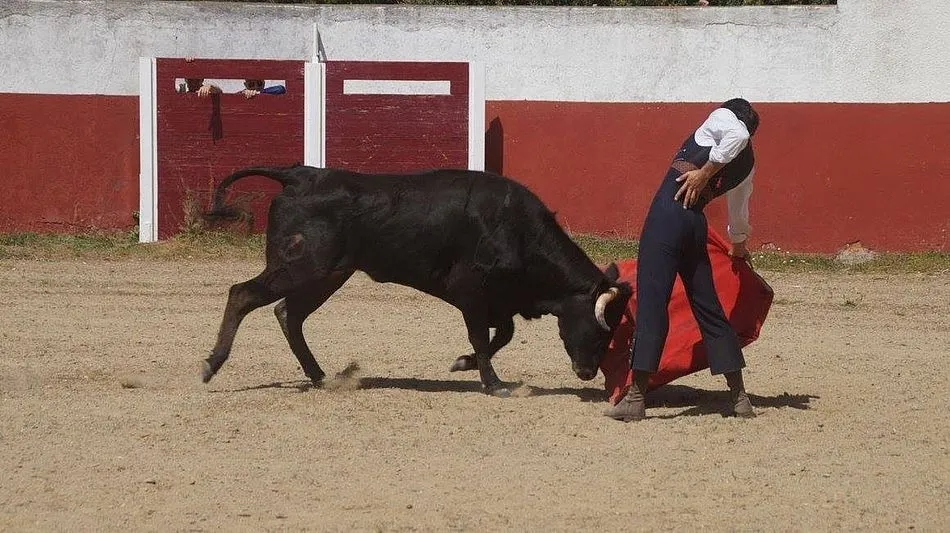 Los socios disfrutarán de una capea y un tentadero en la finca de Julio Pérez Tabernero