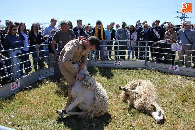 Foto 2 - Saloro recibir&aacute; la medalla del Ayuntamiento de Barruecopardo en la Feria de San Felipe  