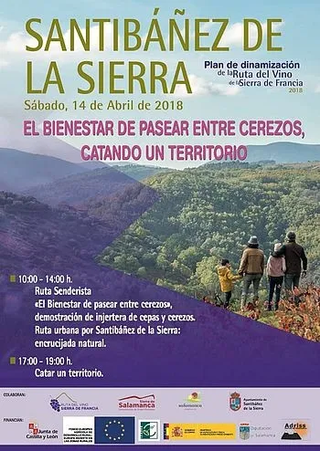 Foto 2 - La localidad muestra ma&ntilde;ana la riqueza de su cerezos y vi&ntilde;edos en una jornada tur&iacute;stica