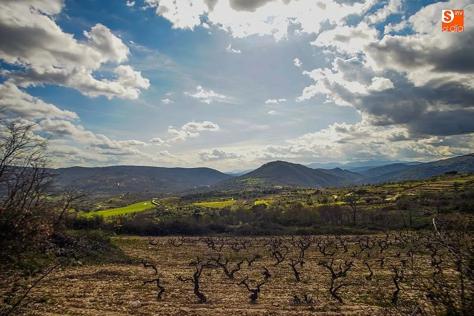 Foto 11 - La Sierra de Francia luce el esplendor de la primavera