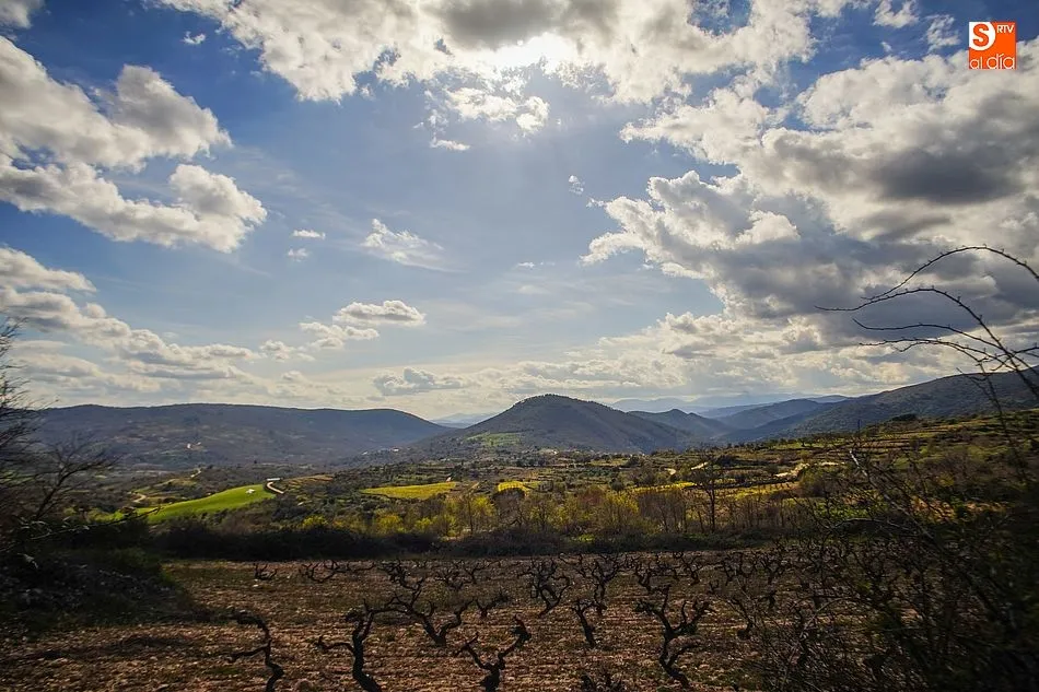 Foto 10 - La Sierra de Francia luce el esplendor de la primavera