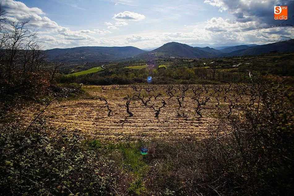 Foto 9 - La Sierra de Francia luce el esplendor de la primavera