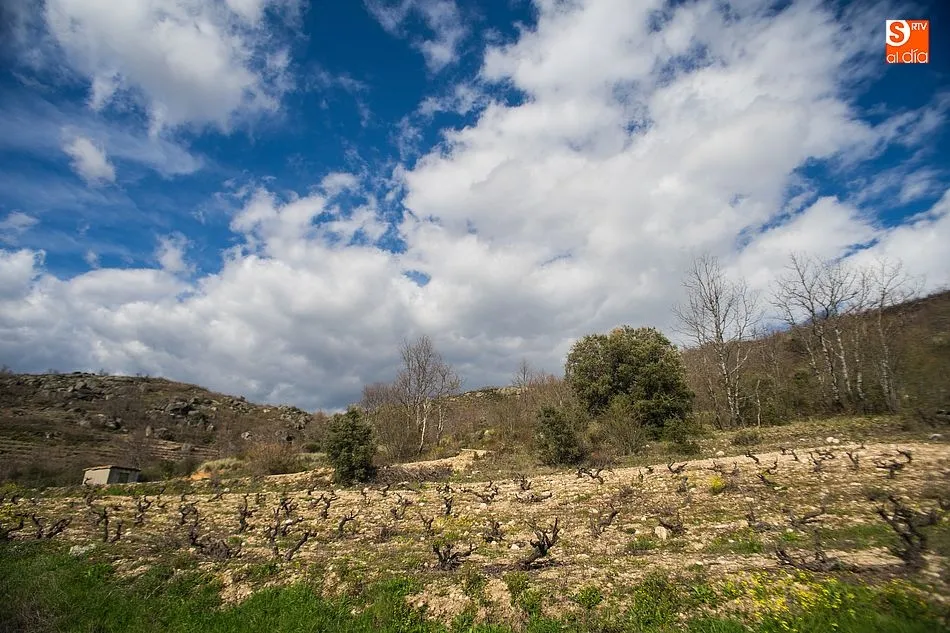 Foto 8 - La Sierra de Francia luce el esplendor de la primavera