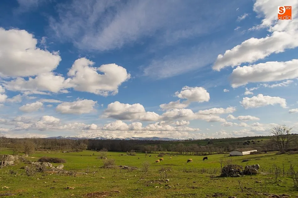 Foto 6 - La Sierra de Francia luce el esplendor de la primavera