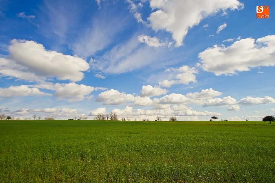 Foto 5 - La Sierra de Francia luce el esplendor de la primavera