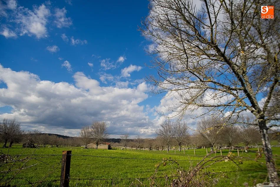 Foto 4 - La Sierra de Francia luce el esplendor de la primavera