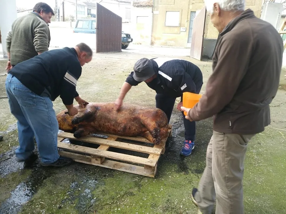 Un momento de la matanza | Fotos: Daniel Castillo y Florentino Hernández