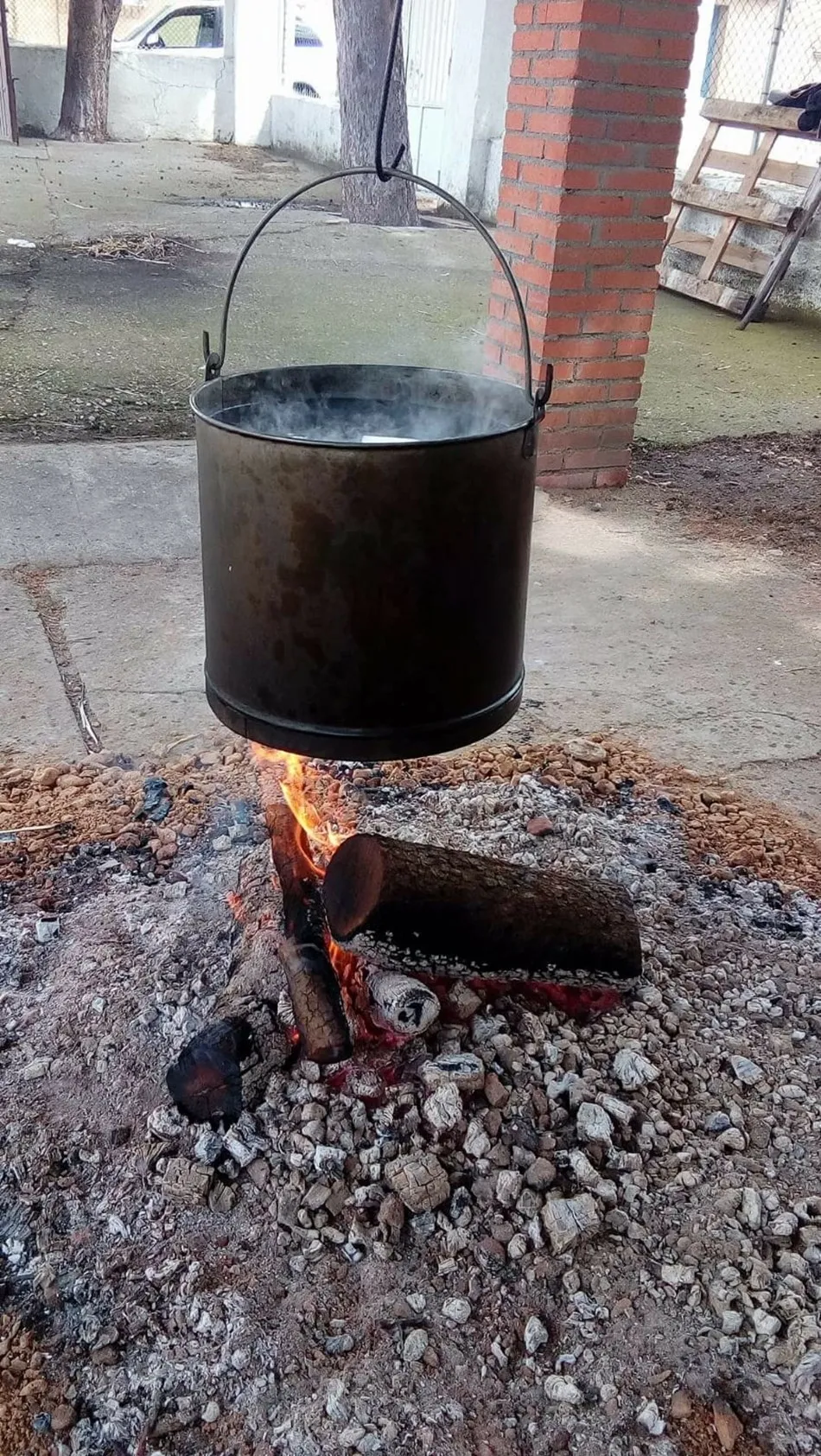 Foto 4 - Los mayores celebran la matanza tradicional