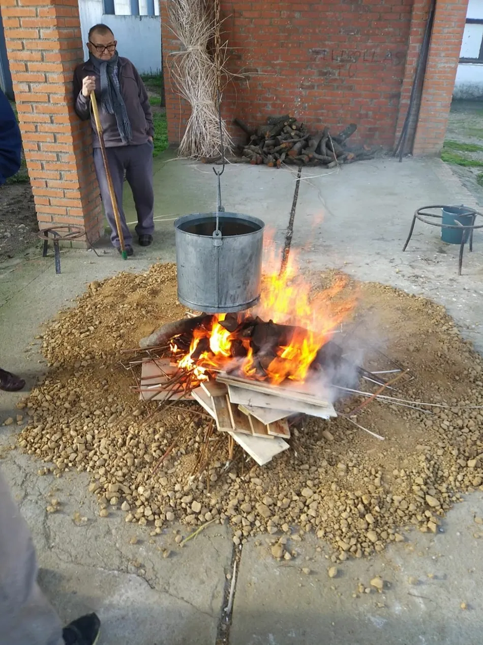 Foto 3 - Los mayores celebran la matanza tradicional