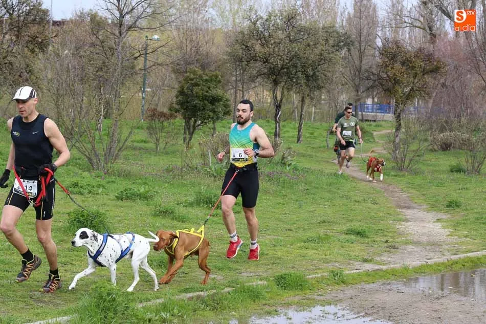 Foto 4 - &Eacute;xito del primer&nbsp;&lsquo;Canicross Ciudad de Salamanca&rsquo; con fines solidarios