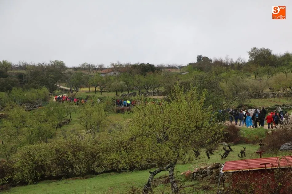 Foto 9 - Cerca de 400 valientes retan al tiempo en la ruta senderista de Mieza  