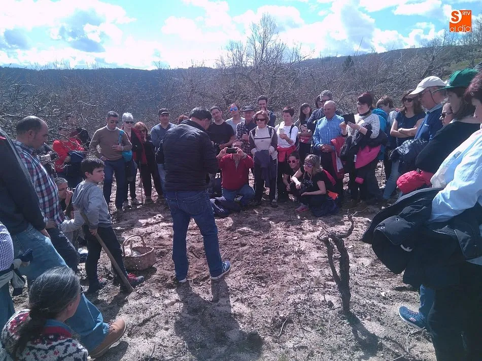 Foto 5 - Los cerezos y vi&ntilde;edos al servicio del turismo primaveral