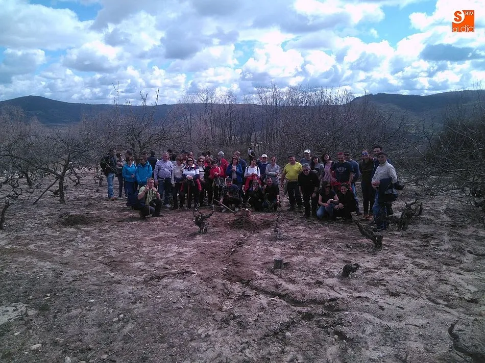 Foto 4 - Los cerezos y vi&ntilde;edos al servicio del turismo primaveral