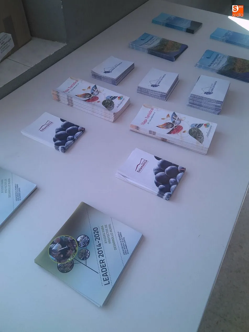 Foto 3 - Los cerezos y vi&ntilde;edos al servicio del turismo primaveral