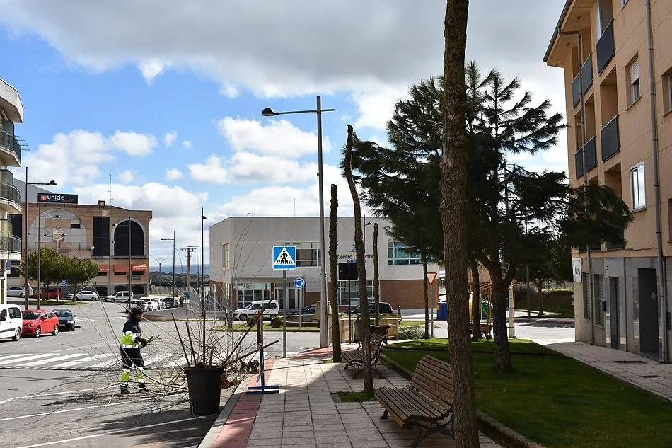 Los operarios municipales han podado los árboles ubicados en el entorno del nuevo centro deportivo